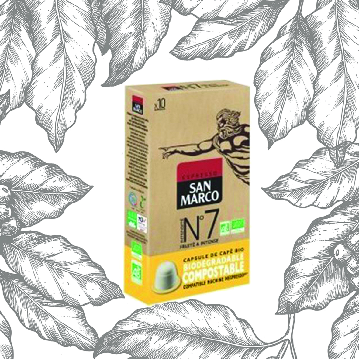Acheter San Marco Café capsules compatibles Nespresso bio intensité 6